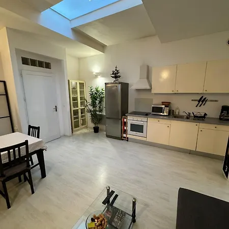 Tres Bel Spacieux Proche Universites Et Centre