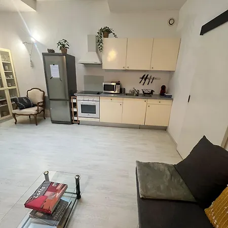 Très Bel Spacieux Proche Universités Et Centre Apartamento